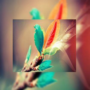 青少年gαy洗澡互吃鳮
