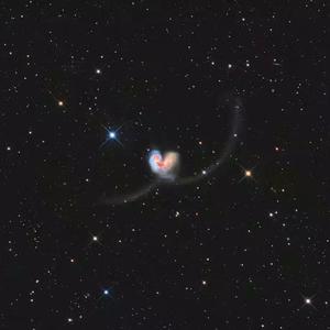 青少年gαy洗澡互吃鳮
